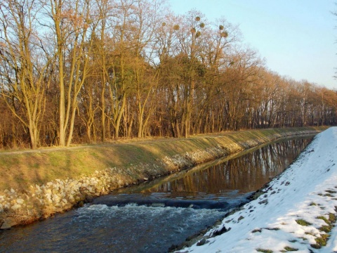 Kliknij na zdjęcie, żeby zobaczyć w pełnych wymiarach