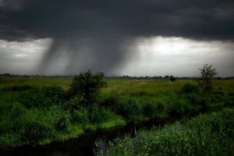 Kliknij na zdjęcie, żeby zobaczyć w pełnych wymiarach