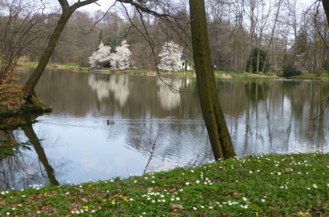 Kliknij na zdjęcie, żeby zobaczyć w pełnych wymiarach