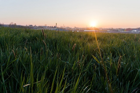 Kliknij na zdjęcie, żeby zobaczyć w pełnych wymiarach