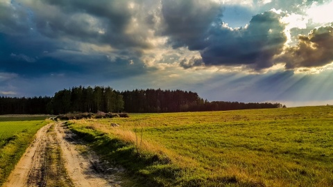 Kliknij na zdjęcie, żeby zobaczyć w pełnych wymiarach