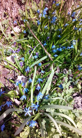 Kliknij na zdjęcie, żeby zobaczyć w pełnych wymiarach