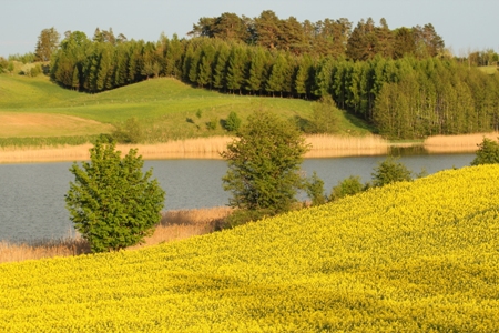 Kliknij na zdjęcie, żeby zobaczyć w pełnych wymiarach
