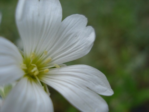 Kliknij na zdjęcie, żeby zobaczyć w pełnych wymiarach
