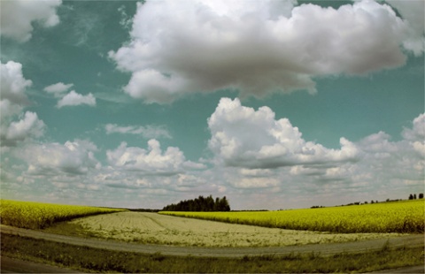 Kliknij na zdjęcie, żeby zobaczyć w pełnych wymiarach