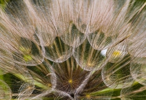 Kliknij na zdjęcie, żeby zobaczyć w pełnych wymiarach