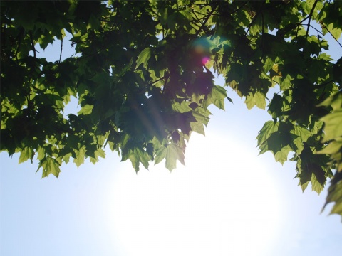 Kliknij na zdjęcie, żeby zobaczyć w pełnych wymiarach