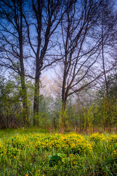 Kliknij na zdjęcie, żeby zobaczyć w pełnych wymiarach