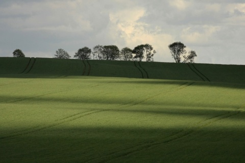 Kliknij na zdjęcie, żeby zobaczyć w pełnych wymiarach