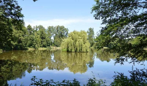 Kliknij na zdjęcie, żeby zobaczyć w pełnych wymiarach