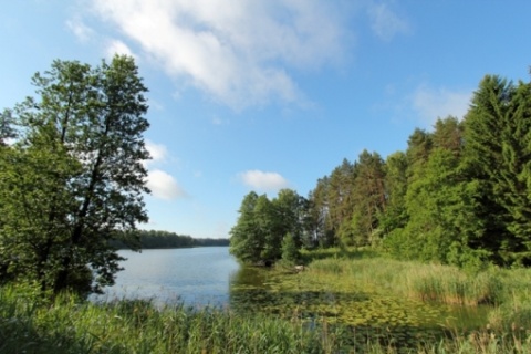 Kliknij na zdjęcie, żeby zobaczyć w pełnych wymiarach