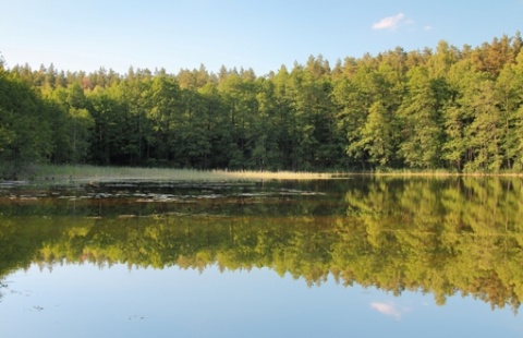 Kliknij na zdjęcie, żeby zobaczyć w pełnych wymiarach