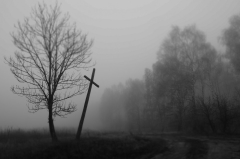 Kliknij na zdjęcie, żeby zobaczyć w pełnych wymiarach