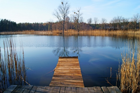 Kliknij na zdjęcie, żeby zobaczyć w pełnych wymiarach