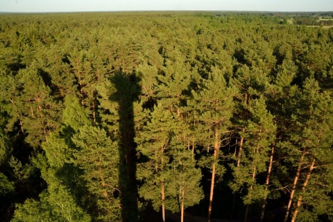 Kliknij na zdjęcie, żeby zobaczyć w pełnych wymiarach