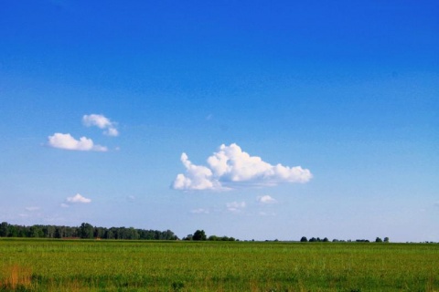 Kliknij na zdjęcie, żeby zobaczyć w pełnych wymiarach