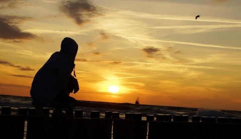 Kliknij na zdjęcie, żeby zobaczyć w pełnych wymiarach