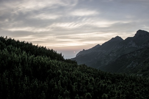 Kliknij na zdjęcie, żeby zobaczyć w pełnych wymiarach