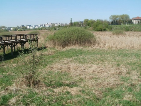 Kliknij na zdjęcie, żeby zobaczyć w pełnych wymiarach