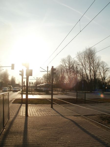 Kliknij na zdjęcie, żeby zobaczyć w pełnych wymiarach