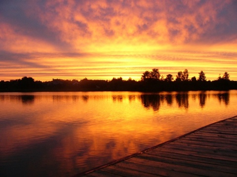 Kliknij na zdjęcie, żeby zobaczyć w pełnych wymiarach