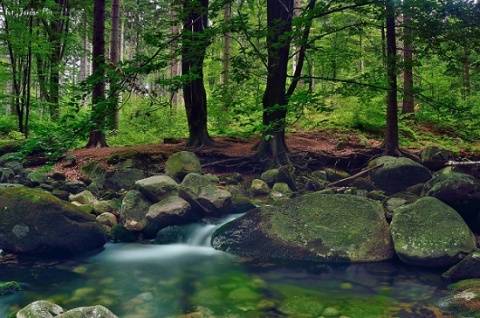 Kliknij na zdjęcie, żeby zobaczyć w pełnych wymiarach