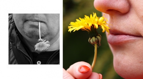 Kliknij na zdjęcie, żeby zobaczyć w pełnych wymiarach