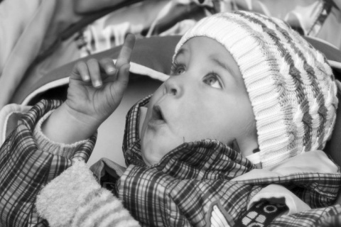 Kliknij na zdjęcie, żeby zobaczyć w pełnych wymiarach