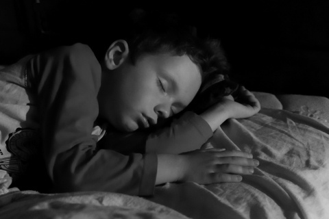 Kliknij na zdjęcie, żeby zobaczyć w pełnych wymiarach