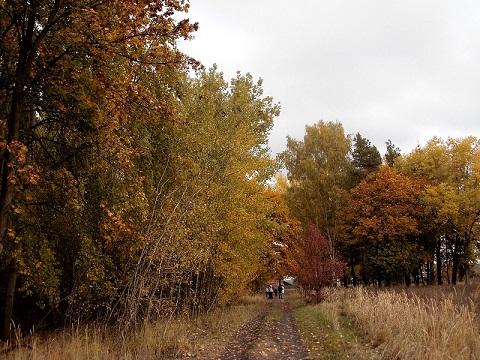 Kliknij na zdjęcie, żeby zobaczyć w pełnych wymiarach