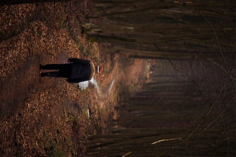 Kliknij na zdjęcie, żeby zobaczyć w pełnych wymiarach