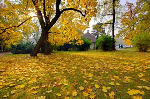 Kliknij na zdjęcie, żeby zobaczyć w pełnych wymiarach