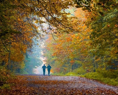 Kliknij na zdjęcie, żeby zobaczyć w pełnych wymiarach