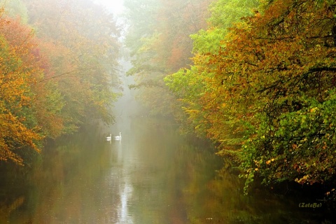 Kliknij na zdjęcie, żeby zobaczyć w pełnych wymiarach