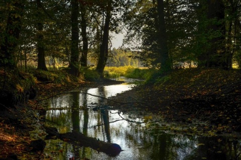 Kliknij na zdjęcie, żeby zobaczyć w pełnych wymiarach
