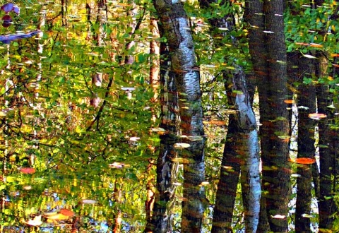 Kliknij na zdjęcie, żeby zobaczyć w pełnych wymiarach