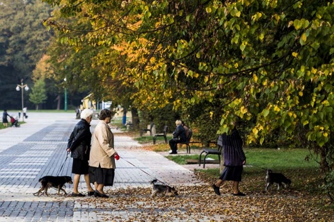 Kliknij na zdjęcie, żeby zobaczyć w pełnych wymiarach