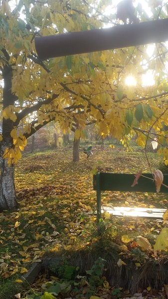 Kliknij na zdjęcie, żeby zobaczyć w pełnych wymiarach