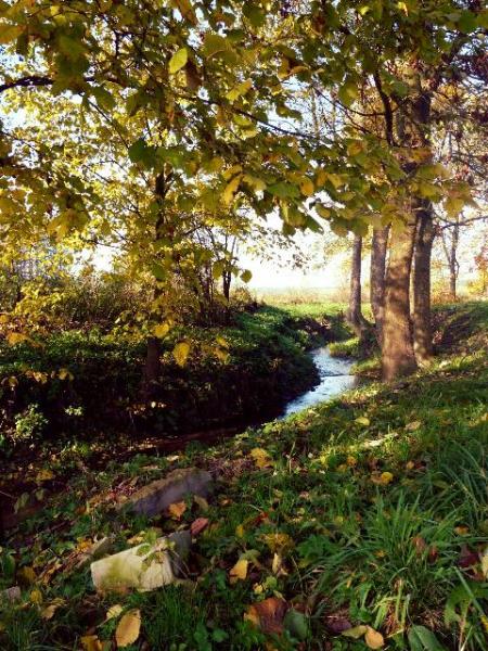 Kliknij na zdjęcie, żeby zobaczyć w pełnych wymiarach