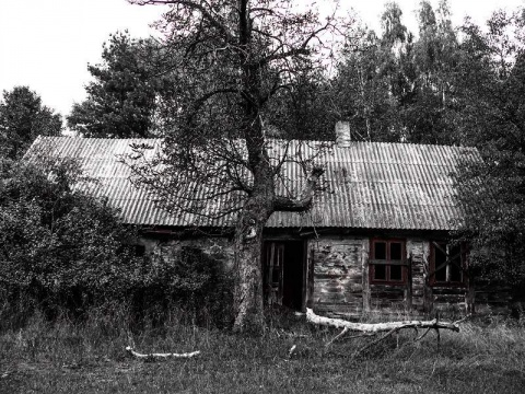 Kliknij na zdjęcie, żeby zobaczyć w pełnych wymiarach