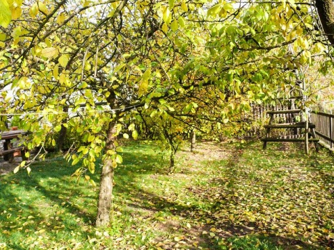 Kliknij na zdjęcie, żeby zobaczyć w pełnych wymiarach