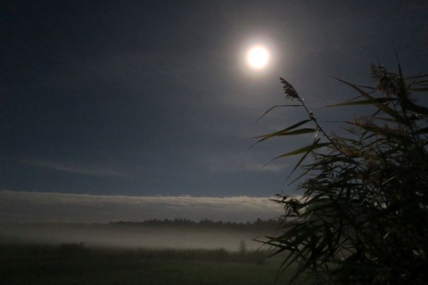 Kliknij na zdjęcie, żeby zobaczyć w pełnych wymiarach