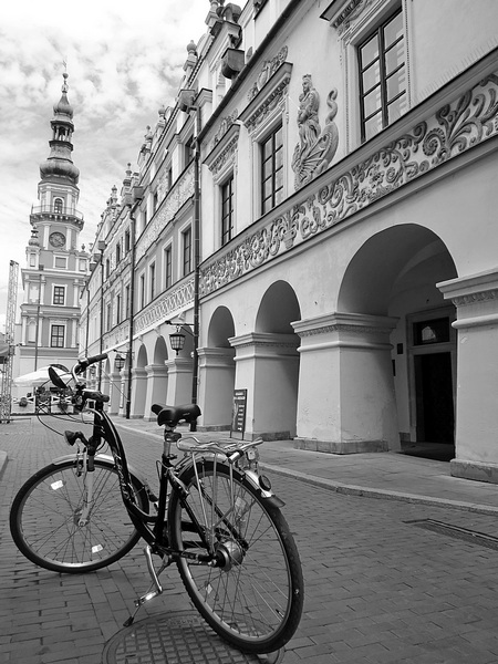Kliknij na zdjęcie, żeby zobaczyć w pełnych wymiarach
