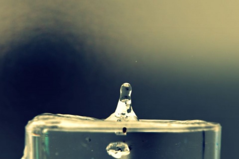 Kliknij na zdjęcie, żeby zobaczyć w pełnych wymiarach