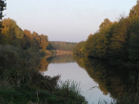 Kliknij na zdjęcie, żeby zobaczyć w pełnych wymiarach