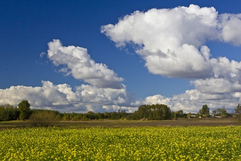 Kliknij na zdjęcie, żeby zobaczyć w pełnych wymiarach