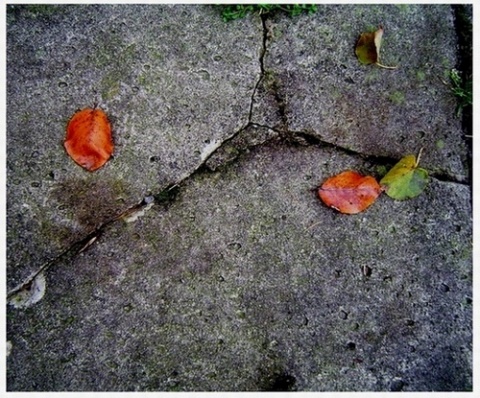 Kliknij na zdjęcie, żeby zobaczyć w pełnych wymiarach