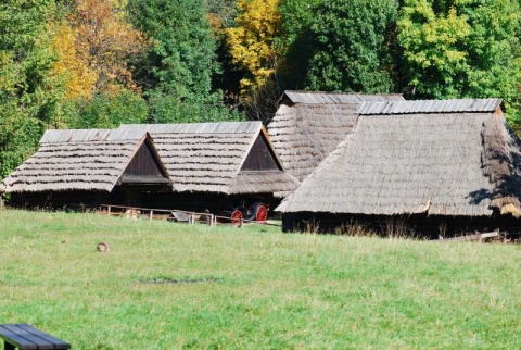 Kliknij na zdjęcie, żeby zobaczyć w pełnych wymiarach