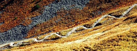 Kliknij na zdjęcie, żeby zobaczyć w pełnych wymiarach