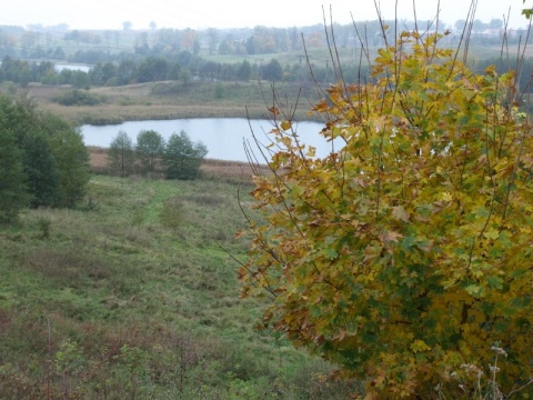 Kliknij na zdjęcie, żeby zobaczyć w pełnych wymiarach